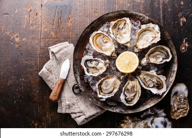 Opened Oysters on metal copper plate on dark wooden background