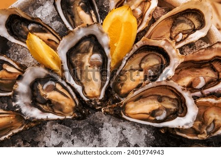 Opened Oysters on metal plate with ice and lemon. [[stock_photo]] © 