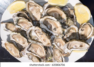 Opened Oysters in a white plate with slice of lemon