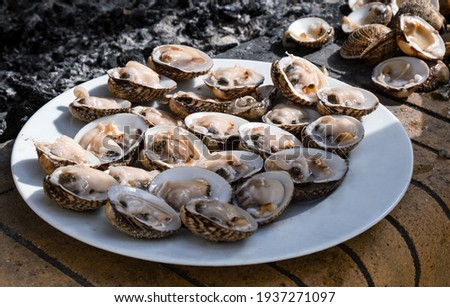 Opened raw cockles on white plate, mollusc ready to eat. A cockle is an edible, marine bivalve mollusc. Edible shellfish from Greece
