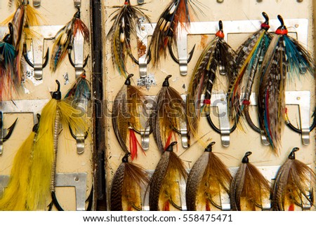 An opened Salmon fly box showing a selection of old salmon featherwing fishing flies circa 1900 shot close up