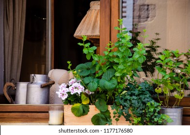 Milk Can Flower Stock Photos Images Photography Shutterstock