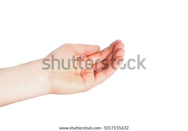 Hand Hold Tool Medicine Dropper Isolated Stock Photo 1569723133 