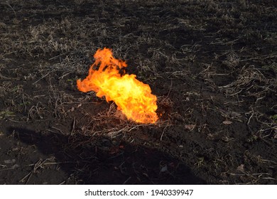 the openfire on the field