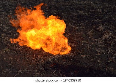 the openfire on the field