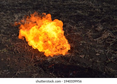 the openfire on the field