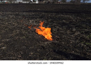 the openfire on the field
