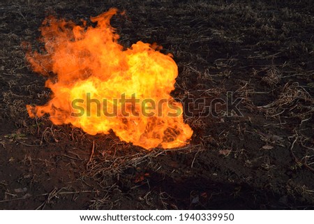 the openfire on the field