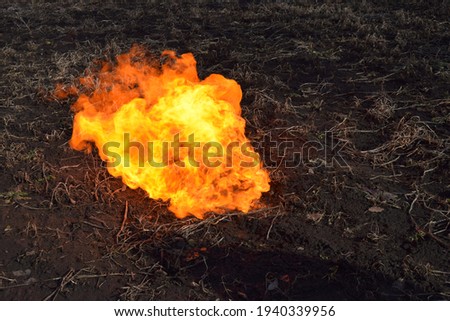the openfire on the field
