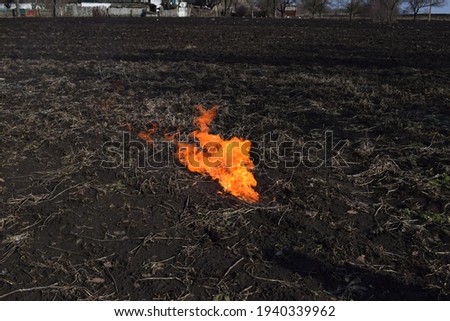 the openfire on the field