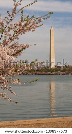 An opening between the trees allows a view of the Washington Monument in the District of Columbia