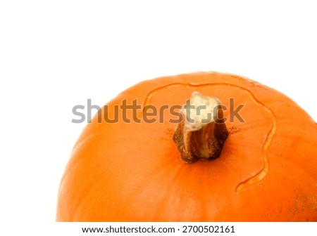 Opening a Hallowen orange pumpkin using gouge chisel meant for linocut isolated on white background