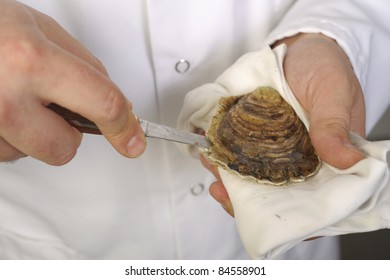 Opening the hollow and flat oysters