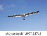 Opening wings
