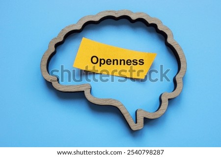 Openness text with brain symbolizing mental growth and open-mindedness.