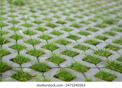 Openwork slab close-up, grass sticking out of the paving stones