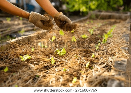 Operational control of nutrient cycling through bio based fertilizers for long term soil fertility management