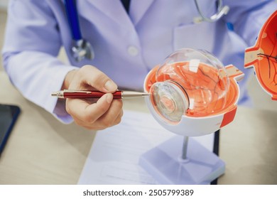 An ophthalmologist explains eye diseases using an eye model at an examination table in a hospital examination room. Glaucoma, cataracts, diabetic retinopathy. - Powered by Shutterstock