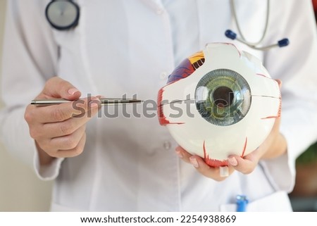 Ophthalmologist holds anatomical model of human eye and pen in her hands. Scientist explains structure of human eye to students.