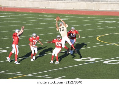 Opposing American football players competing for ball during competitive game, offensive receiver catching ball in mid-air - Powered by Shutterstock