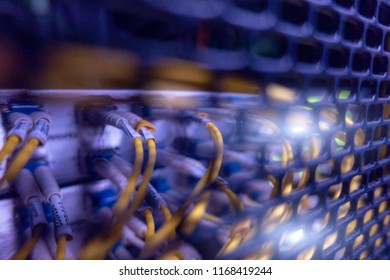 Optical cable close up. Big Optical server.	
