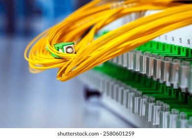 Optical Distribution Frame with Fiber Patch Cord Cable in Telecommunication and Communications Data Center