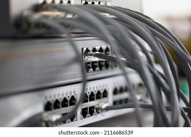 Optical Mains Cables Connected To Main Server Closeup