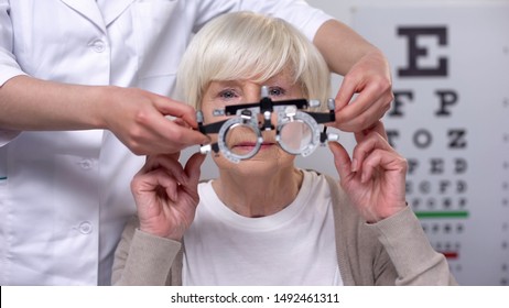 Optician Holding Phoropter, Preparing For Old Woman Vision Examination, Health