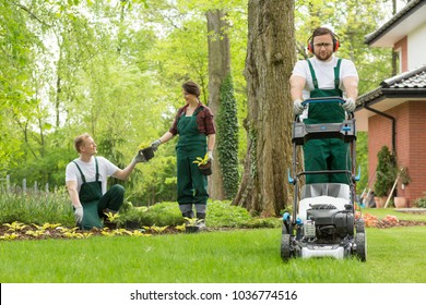 Optimistic Team Of Gardeners Planting Flowers And Mowing Lawn