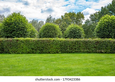 Option to design the landscape of a green garden or backyard - Shutterstock ID 1793423386
