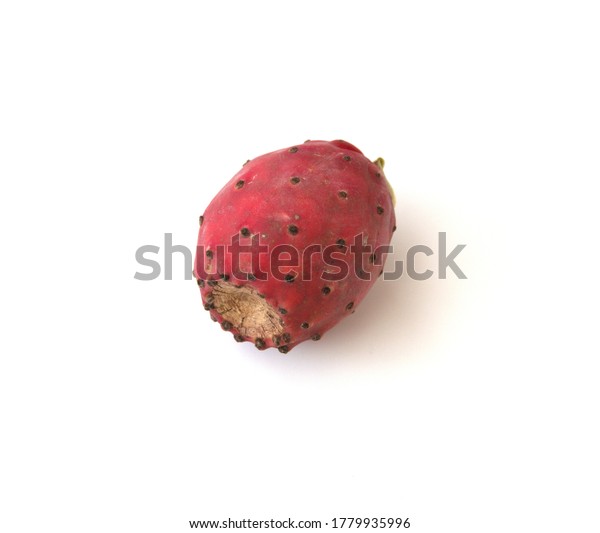 Opuntia littoralis, commonly called prickly\
pear, tuna fruit, sabra, nopal paddle, edible cactus fruit, used in\
 folk medicine, on white background\
