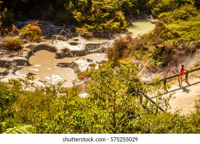 Orakei Korako Geothermal Valley