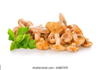 Lactarius Deliciosus High Res Stock Images Shutterstock