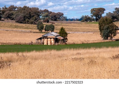 Orange Australia, View Across Fields Of Dry Grass To Shed With Hay Bales