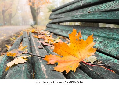 Automne Hd Stock Images Shutterstock