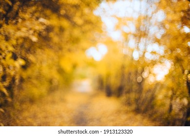 Orange Autumn Bokeh Background From Nature Forest Out Of Focus.Blured,design Element. Defocused Natural Yellow Tree Background With Sun Beams.