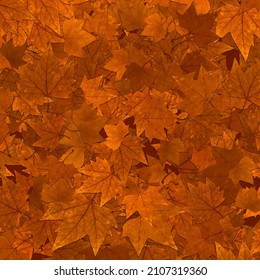 Automne Orange, arrière-plan feuille d'automne.