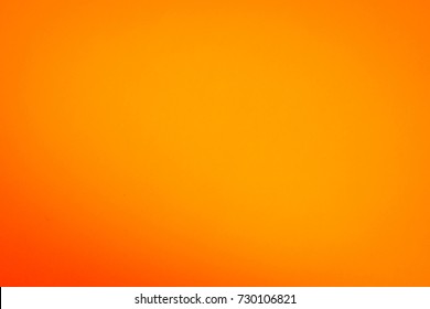 Orange background studio  Orange color summer