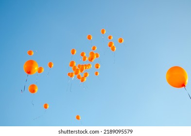 Orange balloons rising to the sky, balloons released against blue sky