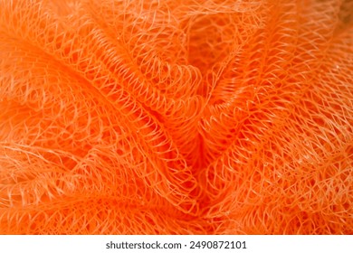 Orange Color - Combinations, HEX Code - Shutterstock