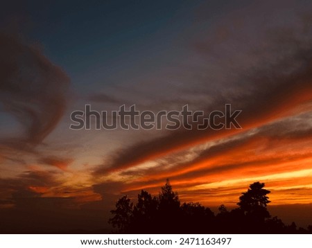 orange and blue sky with cloud and tree silhoutte