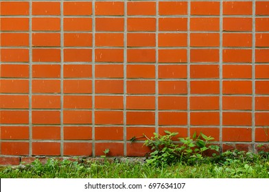 Orange Brick Wall With Complementary Piece Of Green Herb