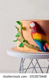 Parrot Cake Images Photos Et Images Vectorielles De Stock Shutterstock Parrot Cake Images Photos Et Images Vectorielles De Stock Shutterstock