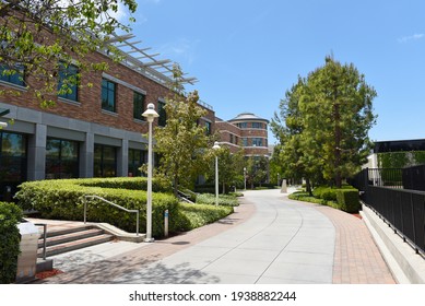 219 Chapman university Images, Stock Photos & Vectors | Shutterstock