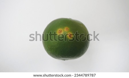 Orange  canker Citrus orangefruit orangedisease