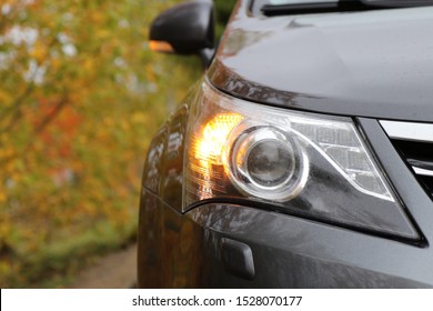 Orange Car Front Turn Signal Light. Rainy Day. Car Headlight 