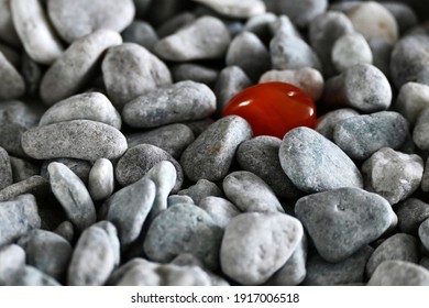 Orange carnelian among the grey stones of the gravel. The uniqueness of the individual, the concept of difference from the rest. A bright stone stands out from the gray mass of ordinary stones. - Shutterstock ID 1917006518