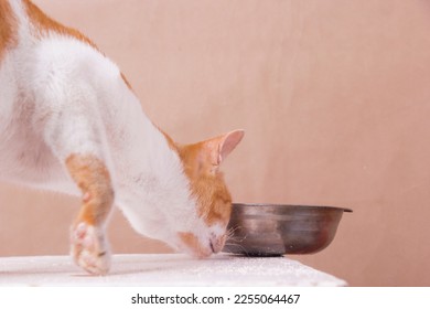 The orange cat accidentally pushed the food container on the white table. isolated brown background - Shutterstock ID 2255064467