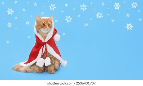 Orange cat dressed in a Santa Claus outfit  on a blue background. Christmas greeting card. Happy New Year. 2025. Celebration. New Year greeting card. Santa's helper. Snowflakes. Christmas theme - Powered by Shutterstock