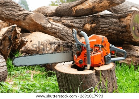 Orange chainsaw lying on a log. Professional equipment